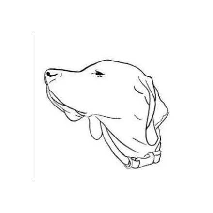 Dogma Biscuit Co logo